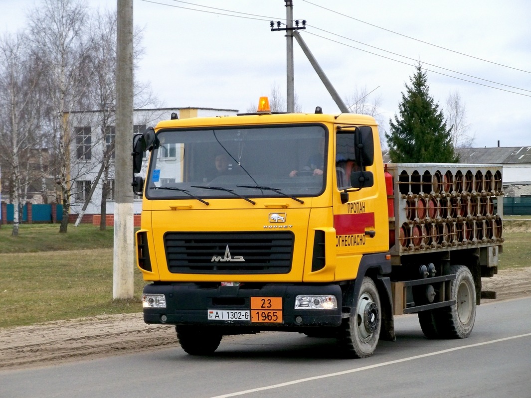 Могилёвская область, № АІ 1302-6 — МАЗ-4571