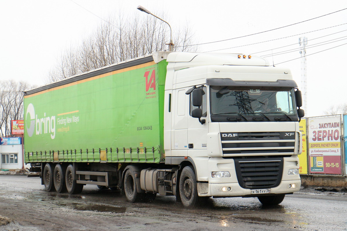 Воронежская область, № Х 161 УУ 36 — DAF XF105 FT