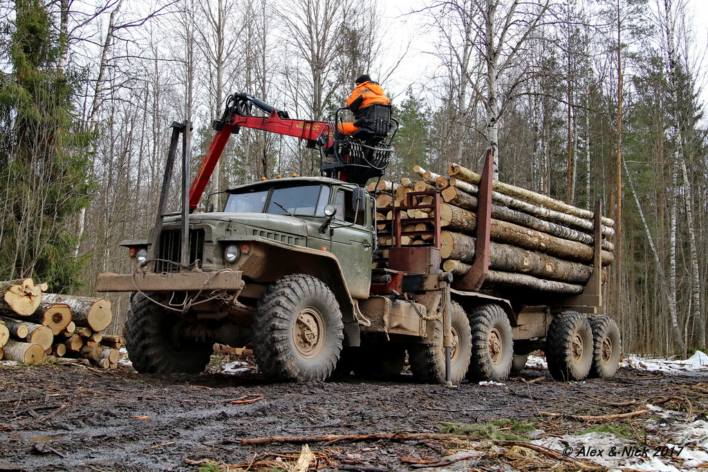 Новгородская область, № (53) Б/Н 0003 — Урал-375Д