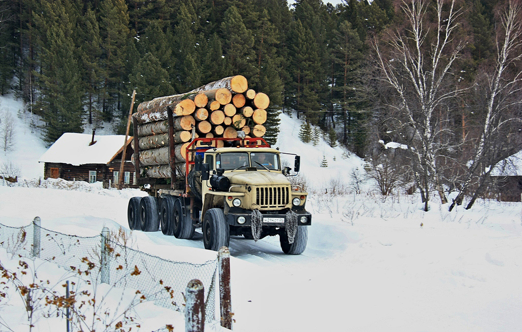 Красноярский край, № Н 214 СТ 24 — Урал-43204-31