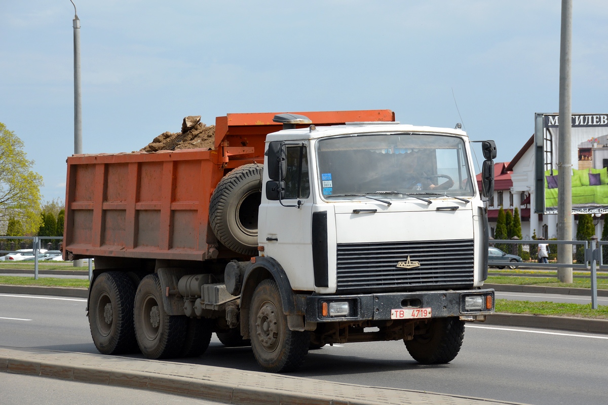 Могилёвская область, № ТВ 4719 — МАЗ-5516 (общая модель)