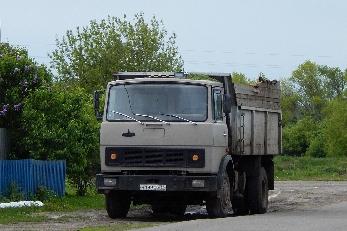 Белгородская область, № М 199 ЕВ 31 — МАЗ-5551 (общая модель)