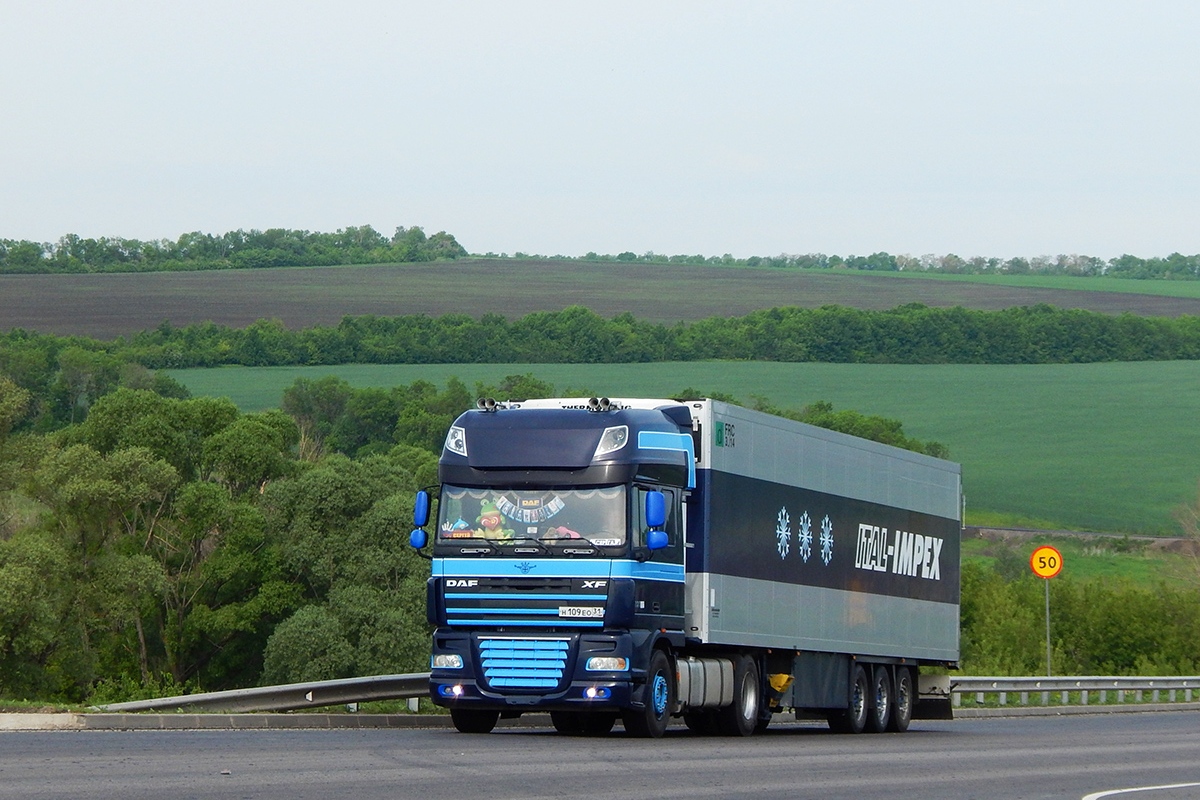 Белгородская область, № Н 109 ЕО 31 — DAF XF105 FT