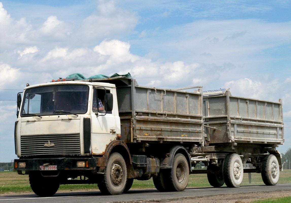Могилёвская область, № ТВ 3995 — МАЗ-5551 (общая модель)