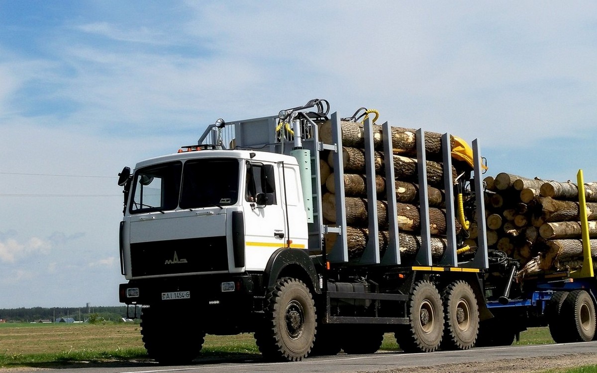 Могилёвская область, № АІ 1454-6 — МАЗ-6317 (общая модель)