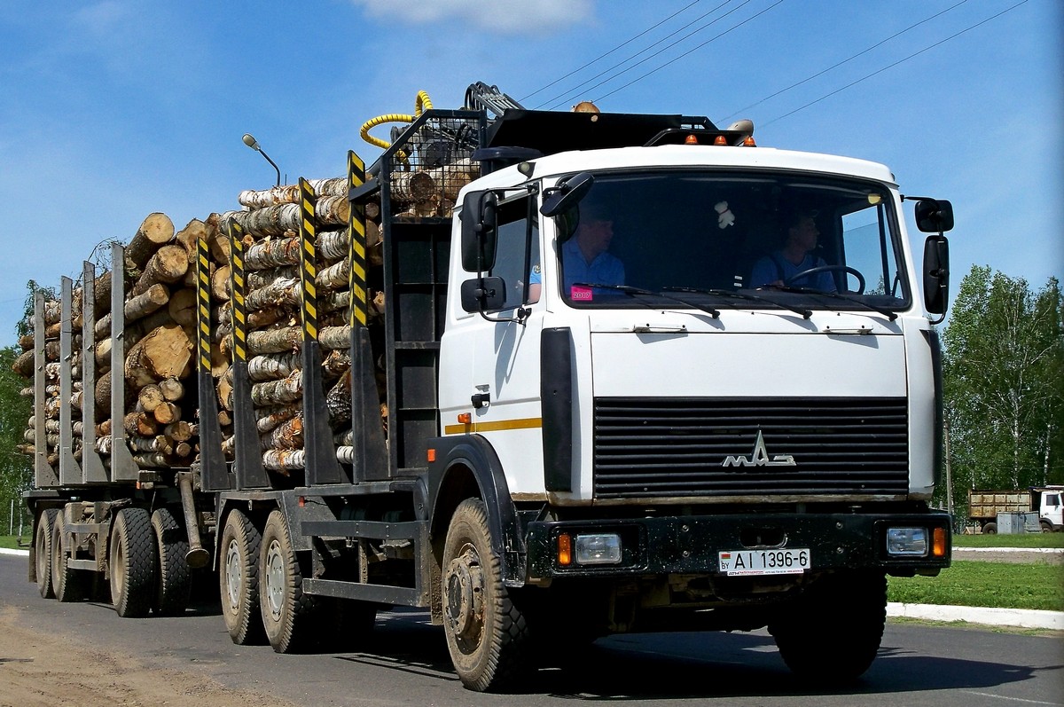 Могилёвская область, № АІ 1396-6 — МАЗ-5516A8