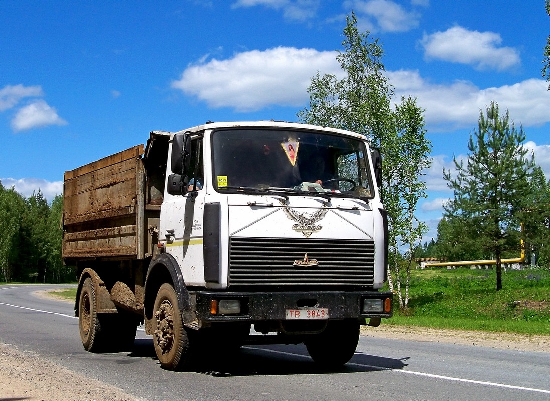 Могилёвская область, № ТВ 3843 — МАЗ-5551 (общая модель)