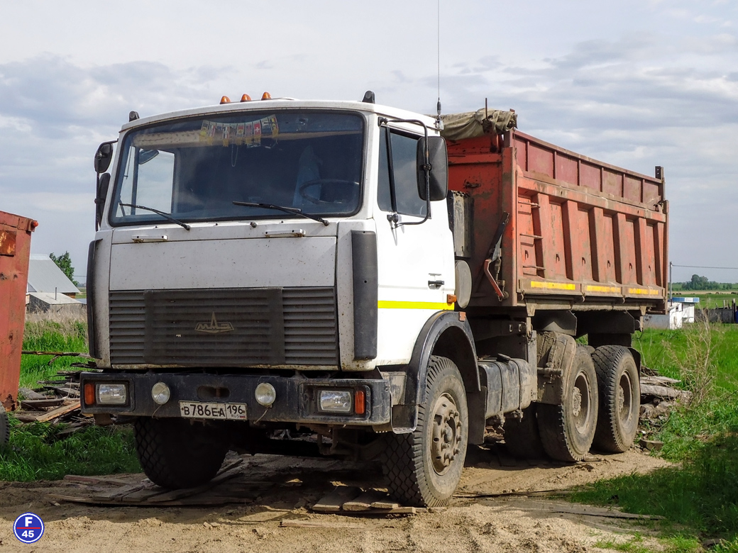 Курганская область, № В 786 ЕА 196 — МАЗ-551605