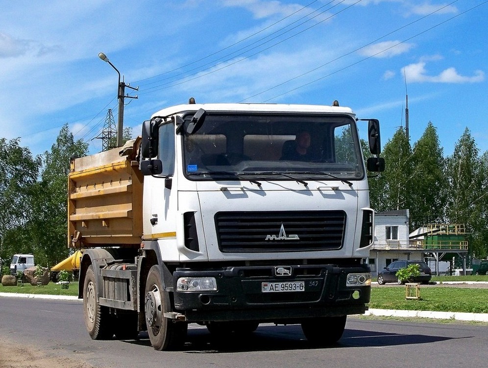 Могилёвская область, № АЕ 9593-6 — МАЗ-5550B3