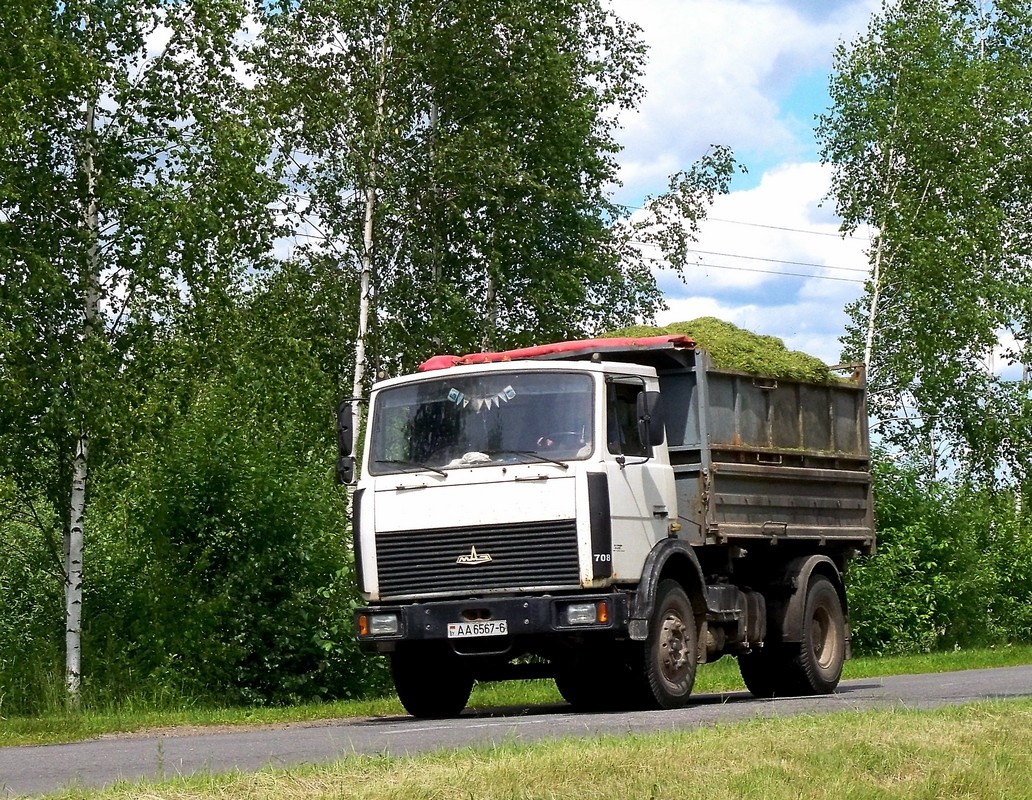 Могилёвская область, № 708 — МАЗ-5551 (общая модель)