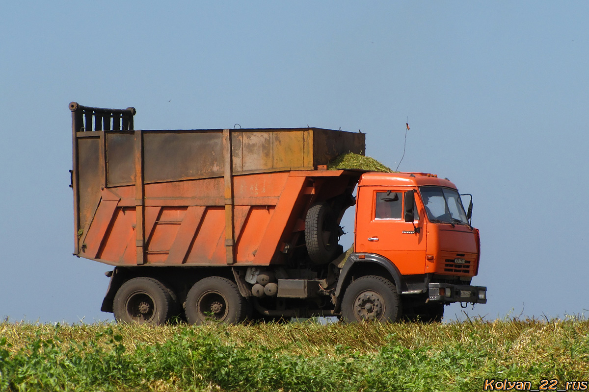 Алтайский край, № Е 396 ОУ 22 — КамАЗ-65115 [651150]