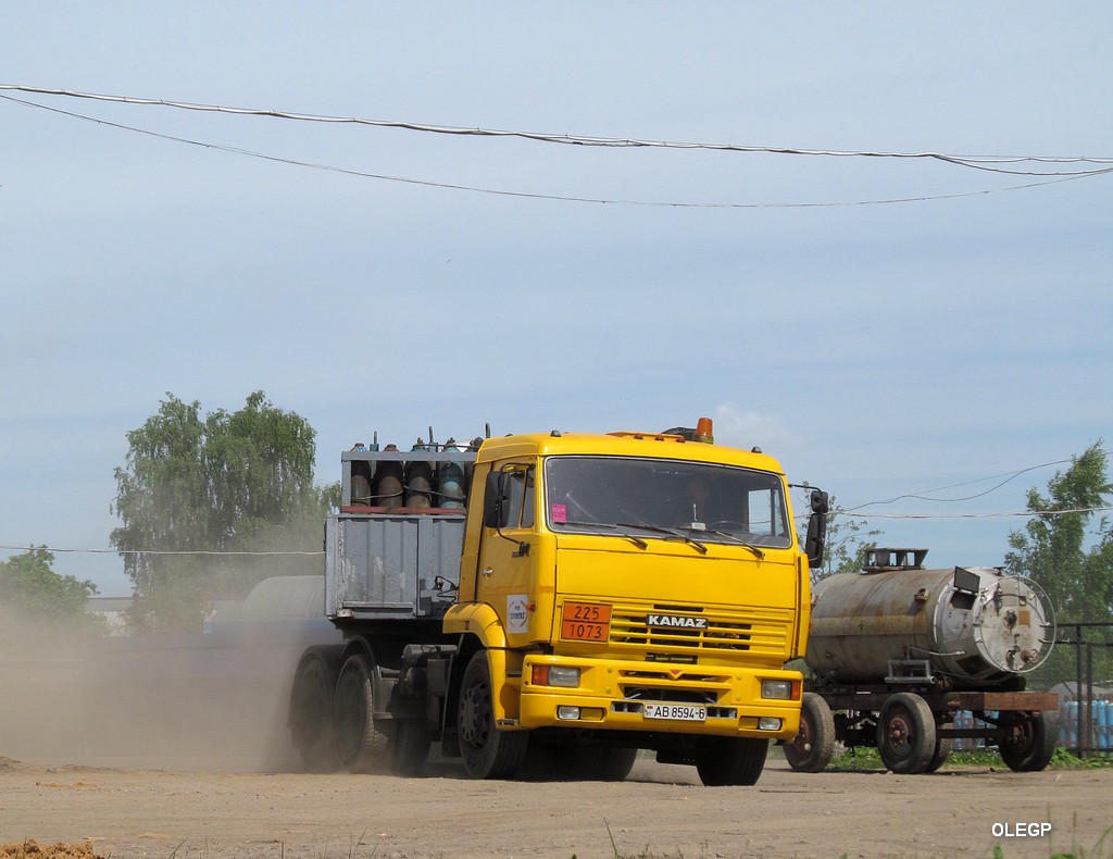 Могилёвская область, № АВ 8594-6 — КамАЗ-65116 (общая модель)