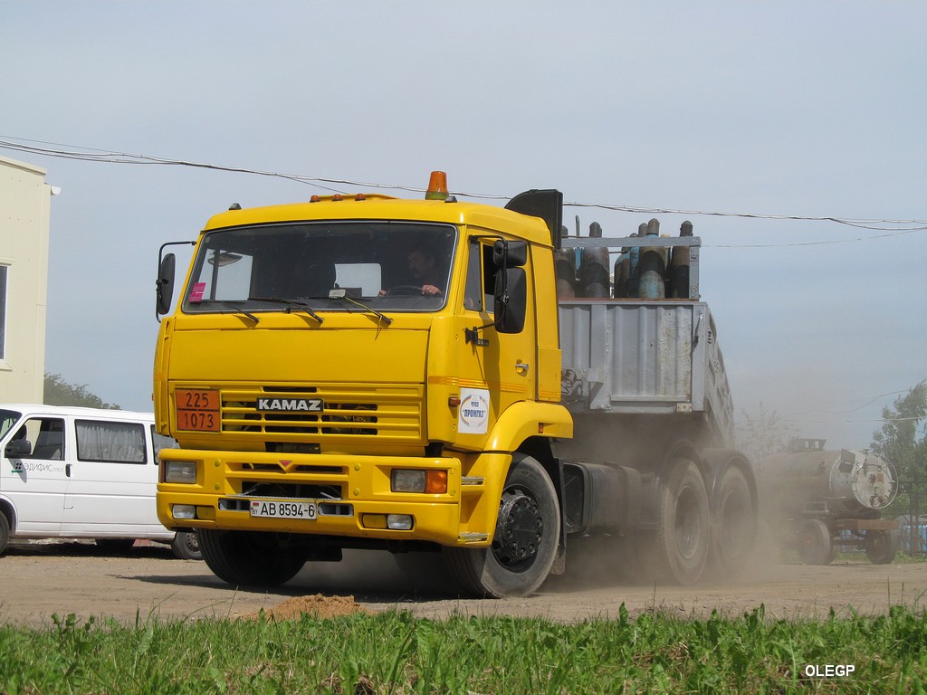 Могилёвская область, № АВ 8594-6 — КамАЗ-65116 (общая модель)