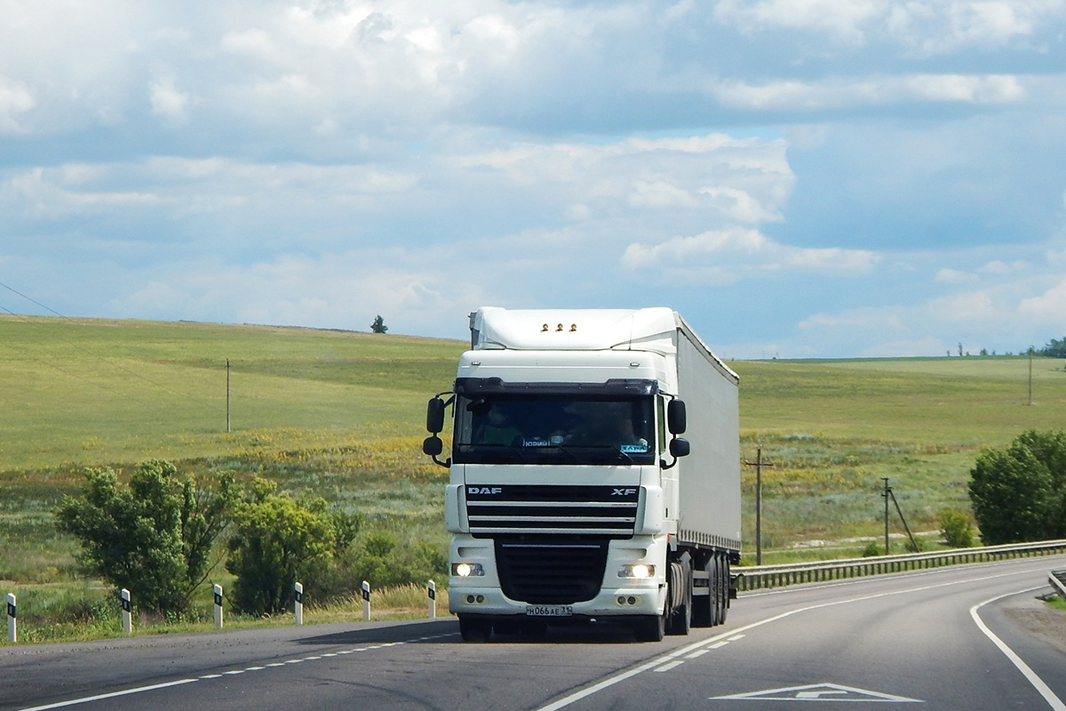 Белгородская область, № Н 066 АЕ 31 — DAF XF105 FT