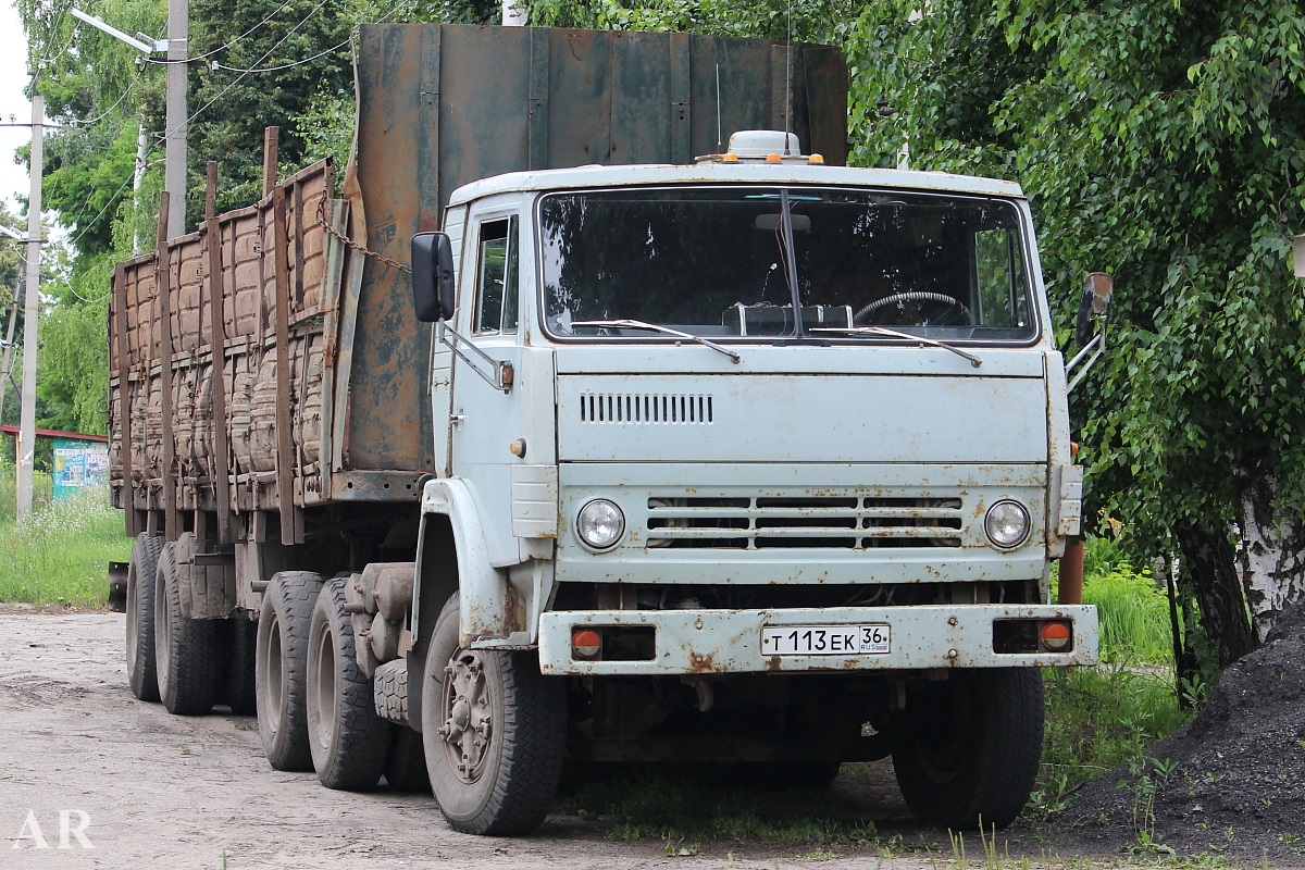 Воронежская область, № Т 113 ЕК 36 — КамАЗ-5410