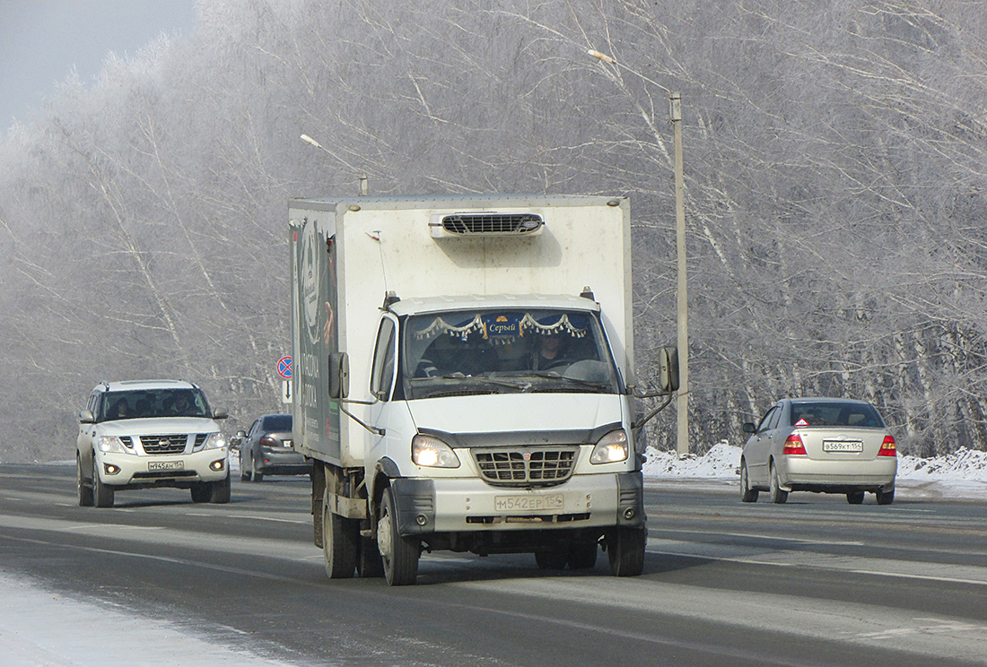 Новосибирская область, № М 542 ЕР 154 — ГАЗ-33106 "Валдай"