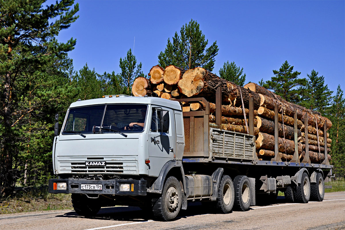 Новосибирская область, № С 173 СВ 154 — КамАЗ-54115 (общая модель)