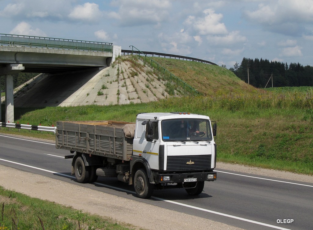 Витебская область, № АВ 9241-2 — МАЗ-5336 (общая модель)