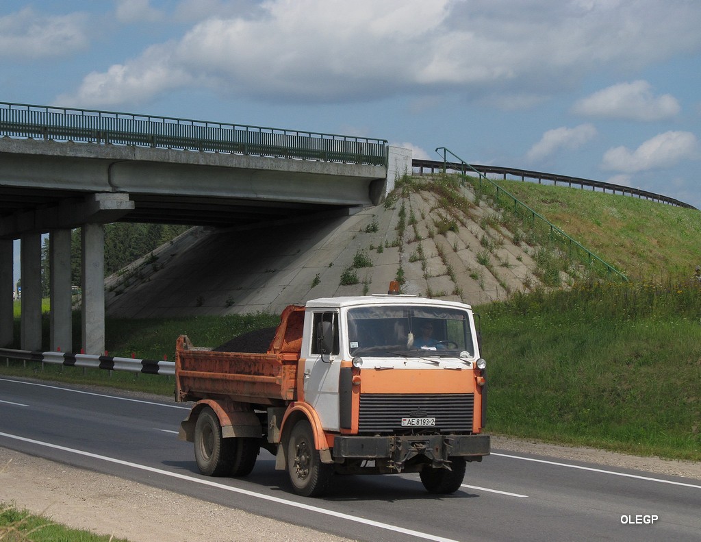 Витебская область, № АЕ 8193-2 — МАЗ-5551 (общая модель)