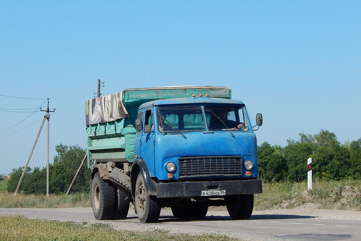 Воронежская область, № В 428 НХ 36 — МАЗ-5549