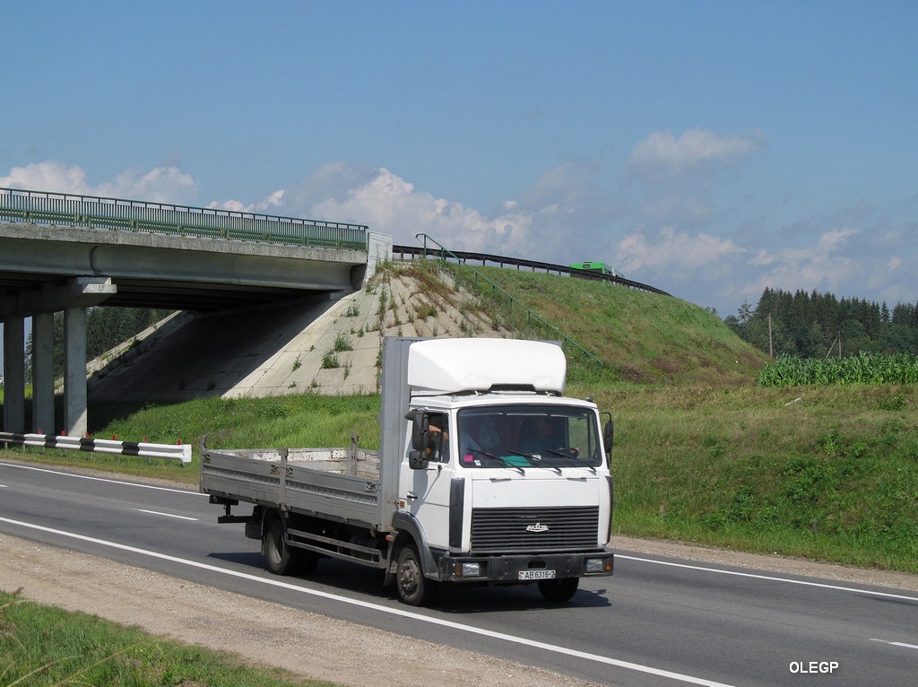 Витебская область, № АВ 6316-2 — МАЗ-4370 (общая модель)