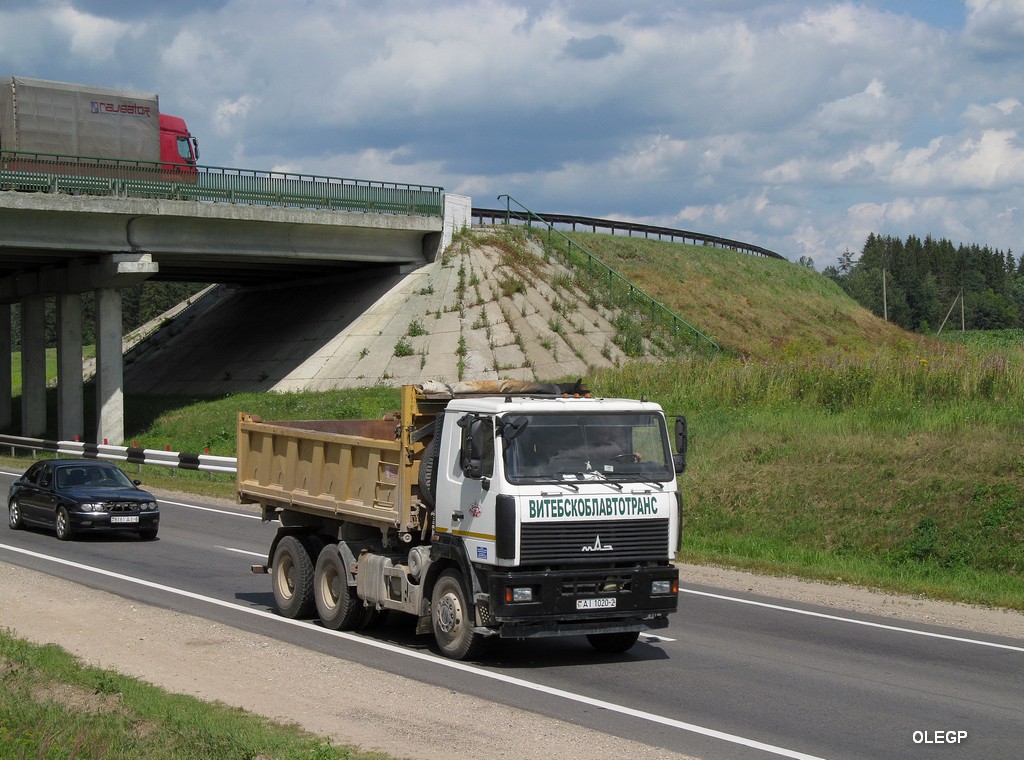 Витебская область, № АІ 1020-2 — МАЗ-6501 (общая модель)