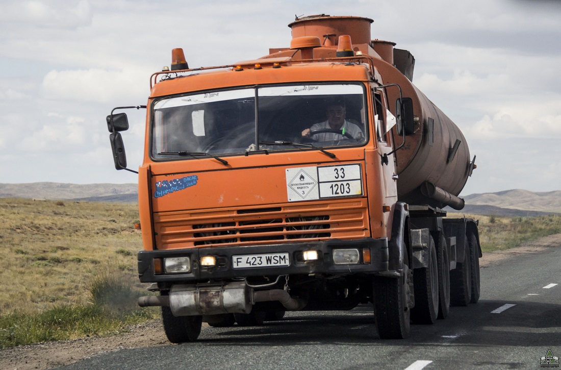 Восточно-Казахстанская область, № F 423 WSM — КамАЗ-54115 [541150]