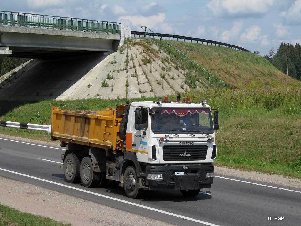 Витебская область, № АК 2173-2 — МАЗ-6501 (общая модель)