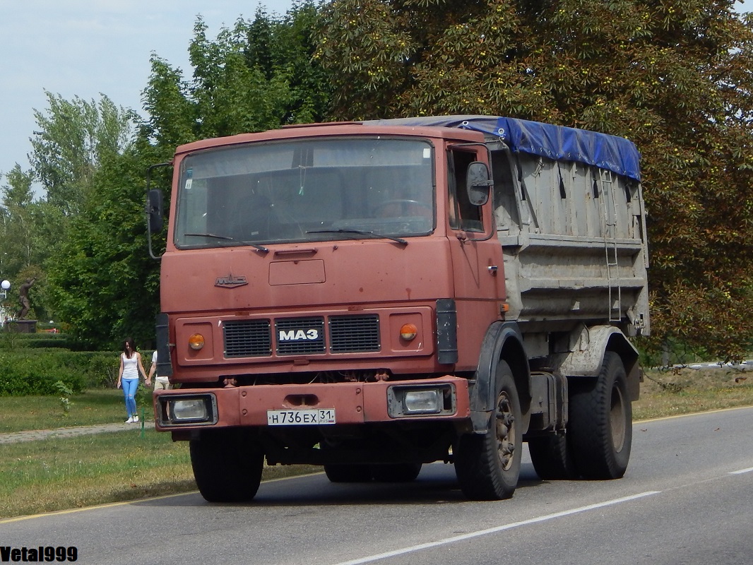 Белгородская область, № Н 736 ЕХ 31 — МАЗ-5551 [555100]