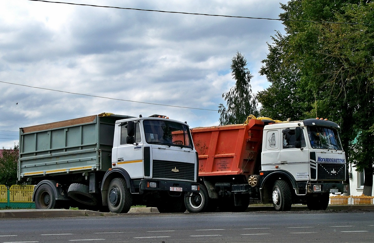 Могилёвская область, № ТВ 5226 — МАЗ-5551 (общая модель)