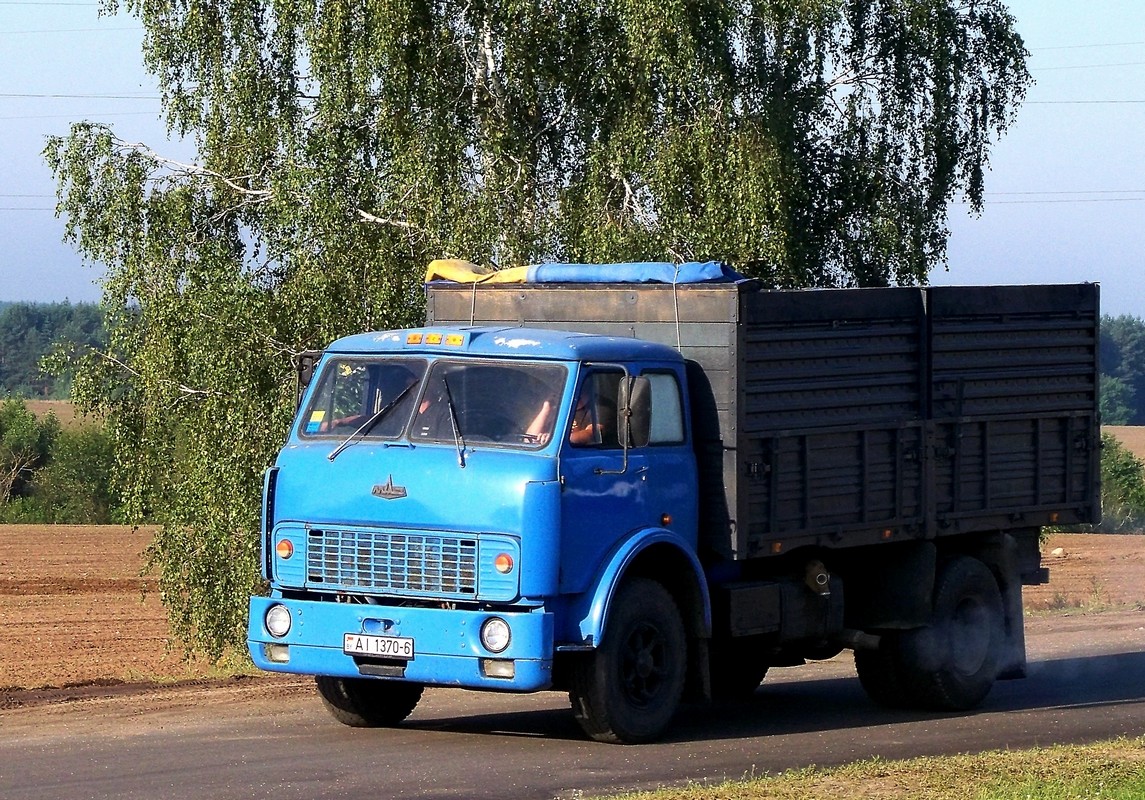 Могилёвская область, № АІ 1370-6 — МАЗ-5335