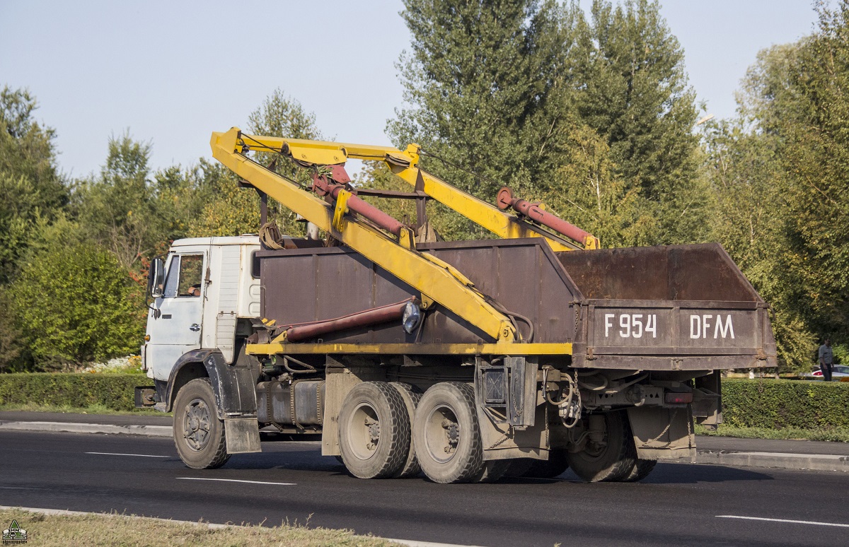 Восточно-Казахстанская область, № F 954 DFM — КамАЗ-5410