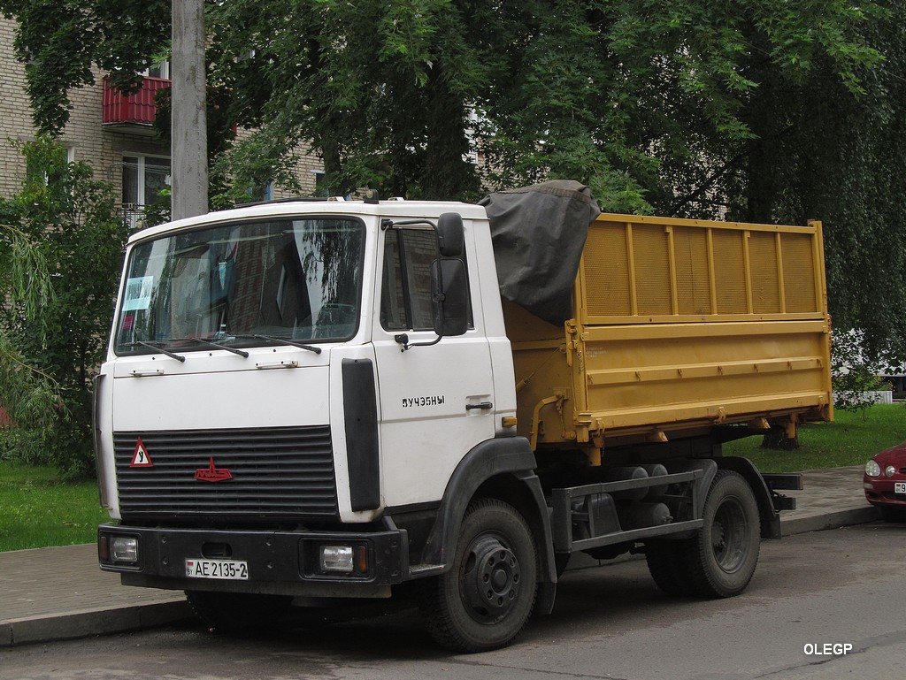 Витебская область, № АЕ 2135-2 — МАЗ-4570 (общая модель)