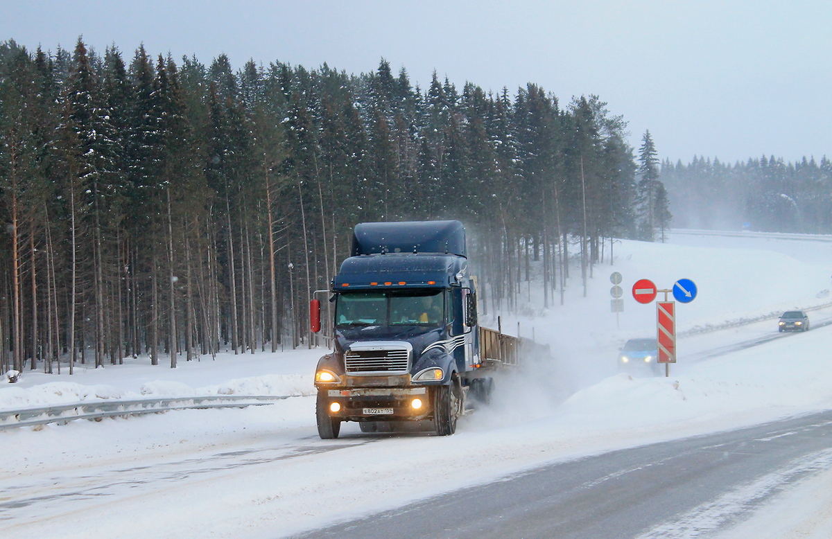 Пермский край, № Е 802 АТ 159 — Freightliner Columbia