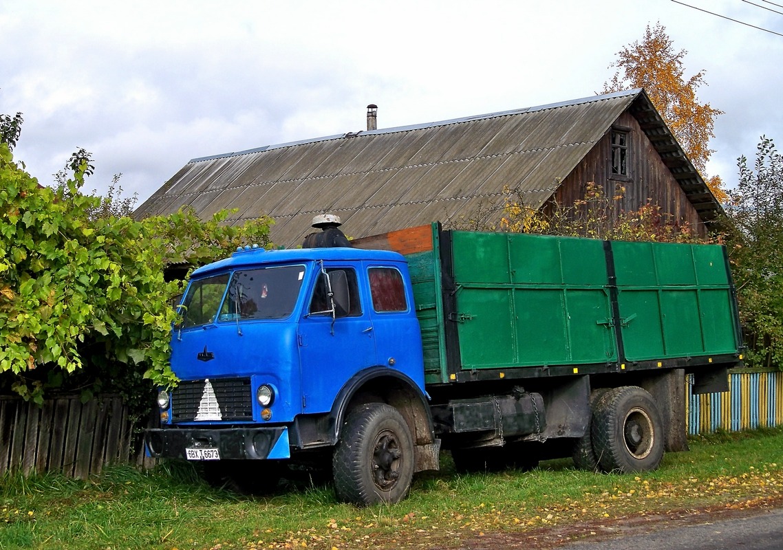 Могилёвская область, № 6ВХ Т 6673 — МАЗ-5334