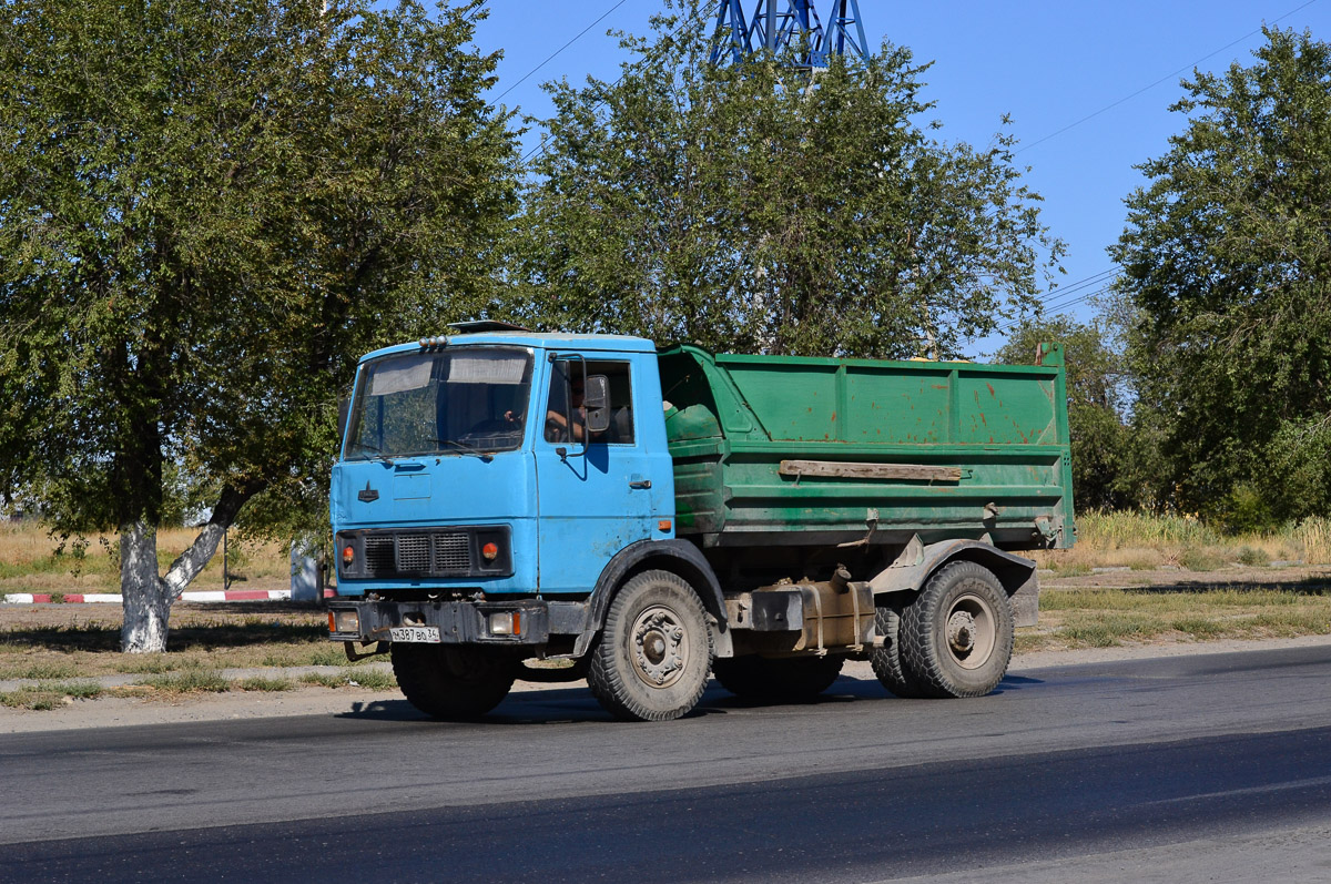 Волгоградская область, № М 387 ВО 34 — МАЗ-5551 [555100]