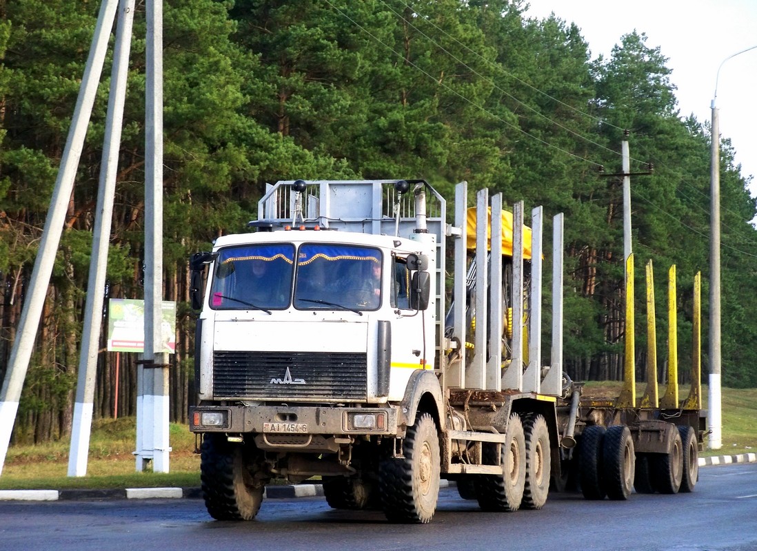 Могилёвская область, № АІ 1454-6 — МАЗ-6317 (общая модель)