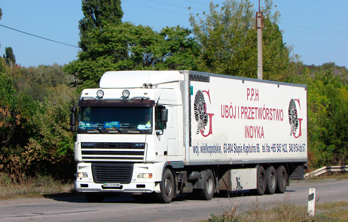 Николаевская область, № ВЕ 5318 ВВ — DAF XF95 FT