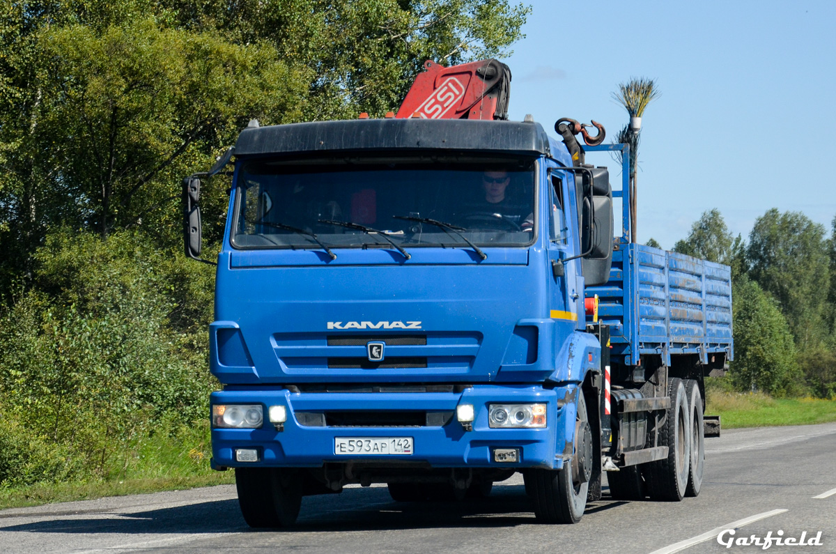 Кемеровская область, № Е 593 АР 142 — КамАЗ-65117 (общая модель)