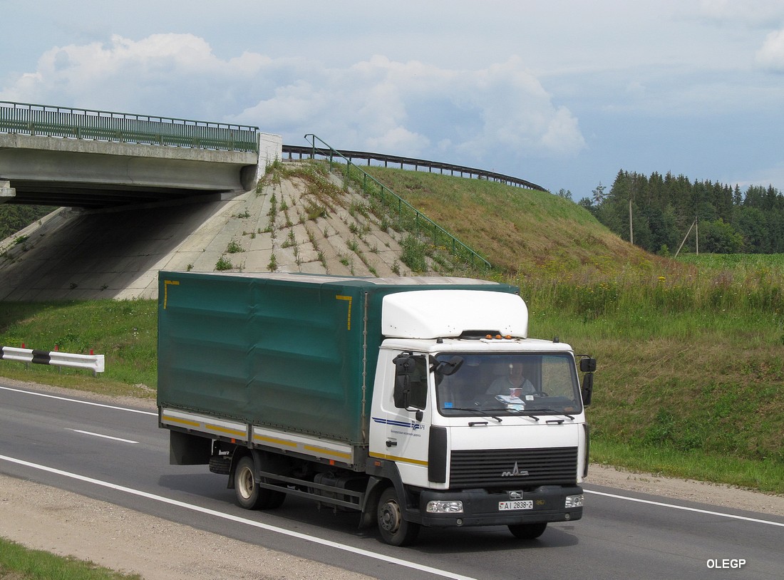 Витебская область, № АІ 2838-2 — МАЗ-4371 (общая модель)