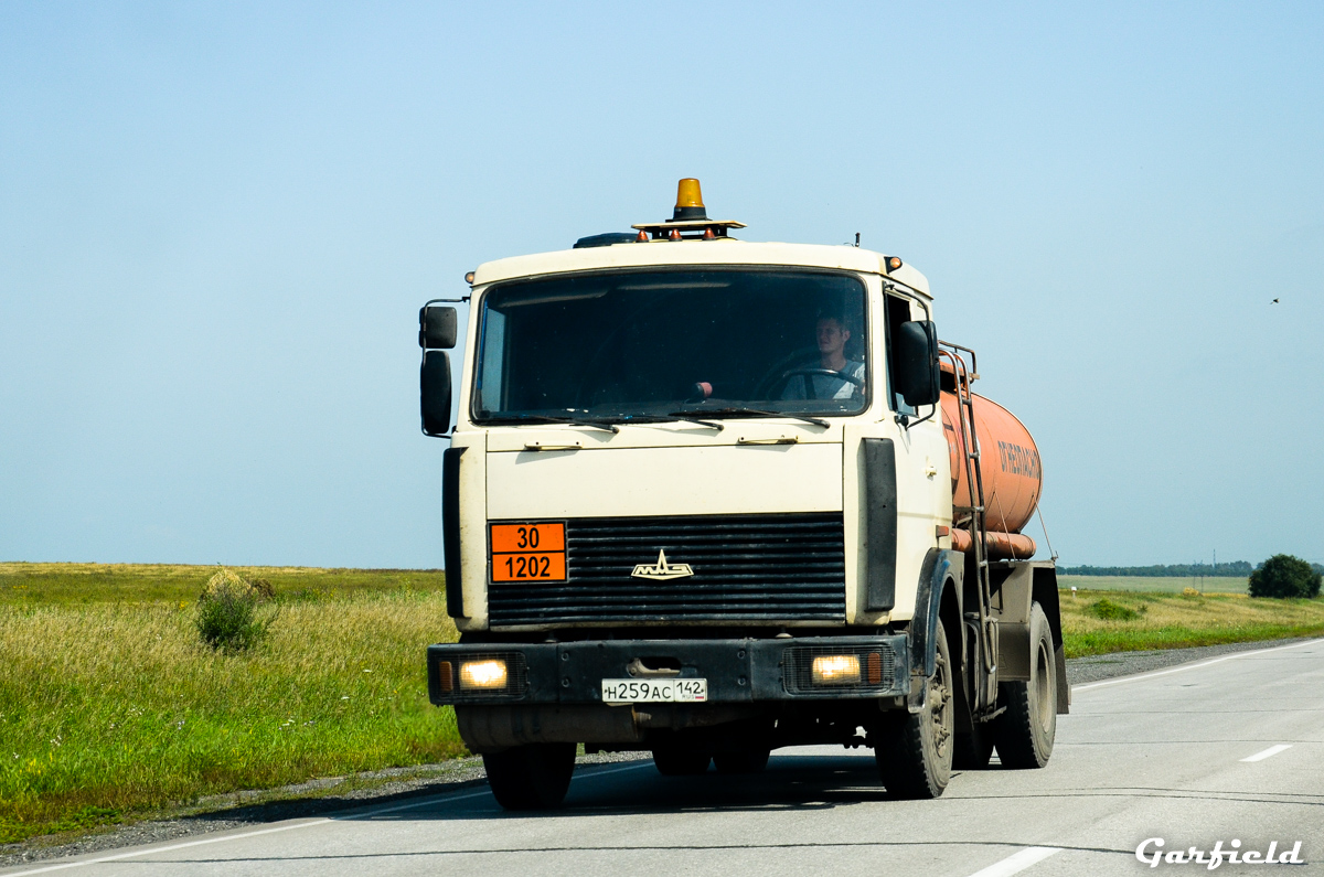 Кемеровская область, № Н 259 АС 142 — МАЗ-53371