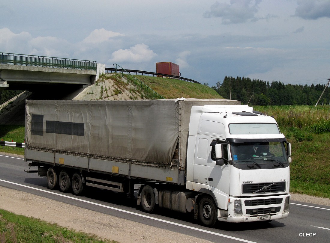 Могилёвская область, № АЕ 0701-6 — Volvo ('2002) FH12.460