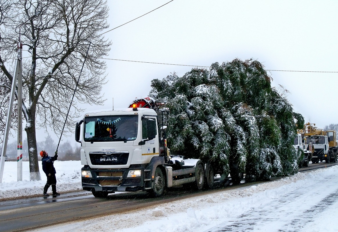 Могилёвская область, № АІ 6011-6 — MAN TGS ('2007) 26.400