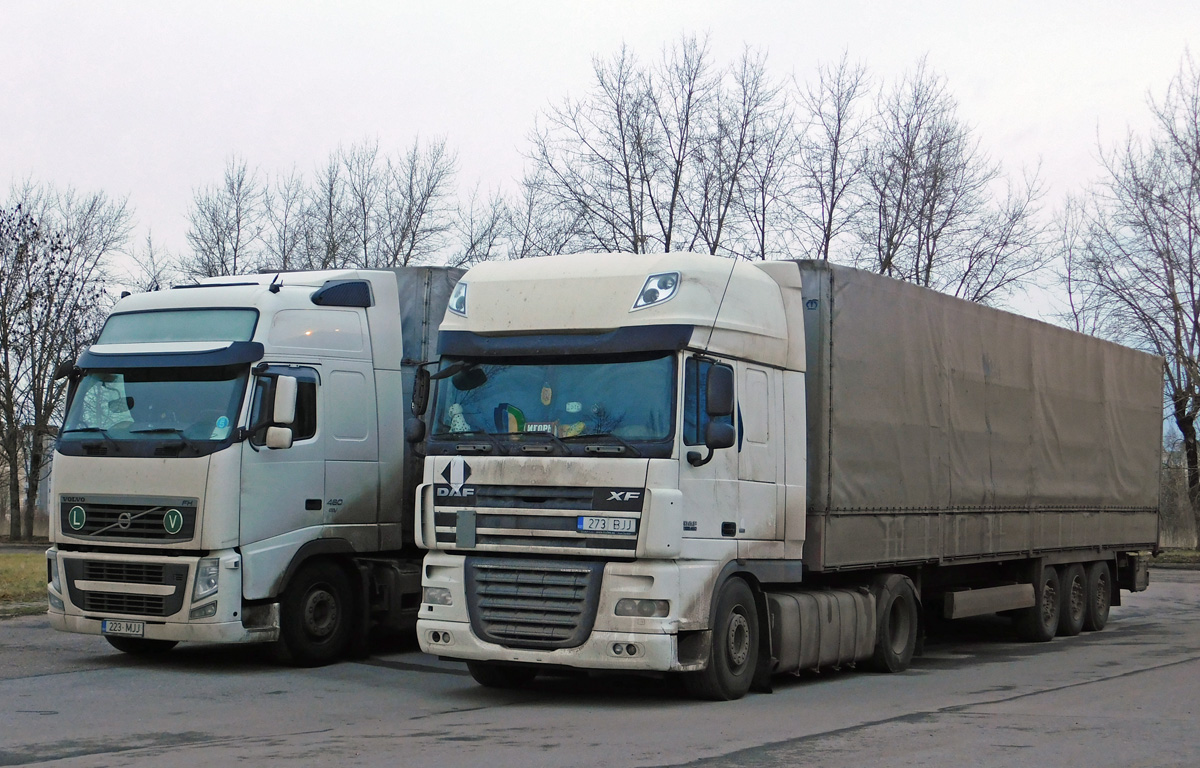 Эстония, № 273 BJJ — DAF XF105 FT