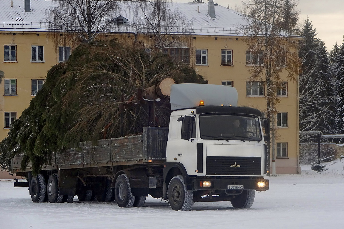 Архангельская область, № Е 601 ЕМ 29 — МАЗ-54323