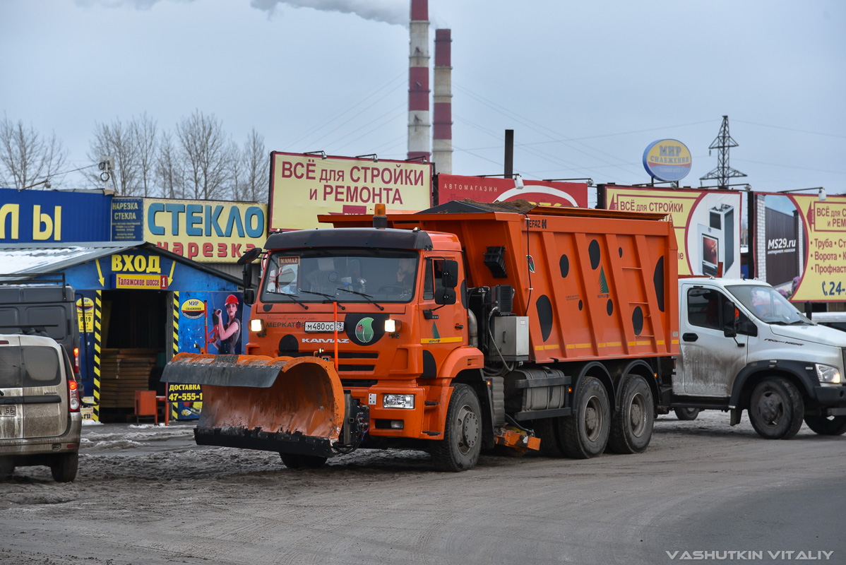 Архангельская область, № М 480 ОС 29 — КамАЗ-6520-43