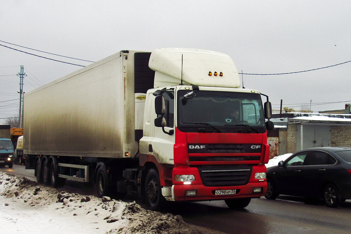 Владимирская область, № О 298 НР 33 — DAF CF85 FT