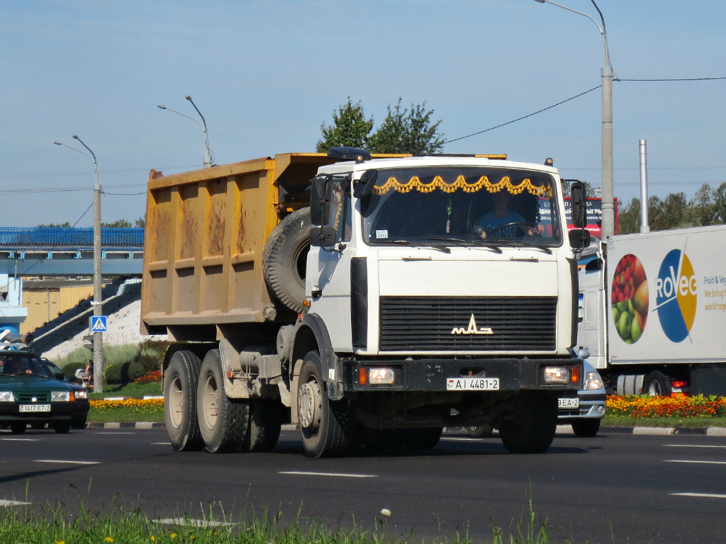 Витебская область, № АІ 4481-2 — МАЗ-5516 (общая модель)