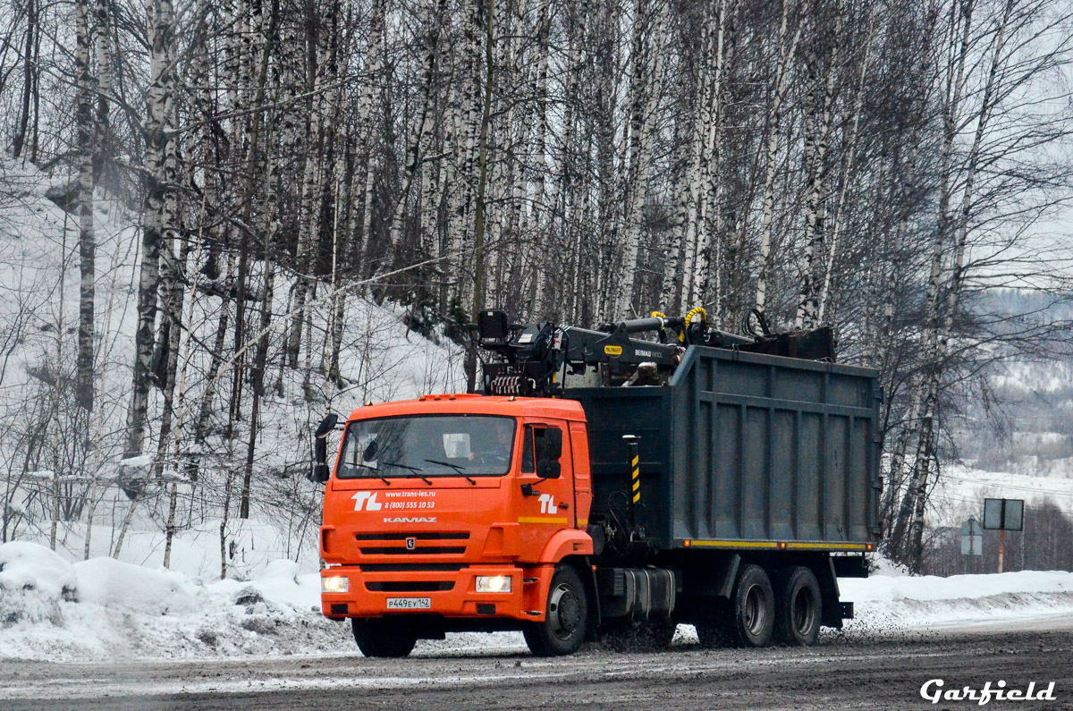 Кемеровская область, № Р 449 ЕУ 142 — КамАЗ-65115 (общая модель)