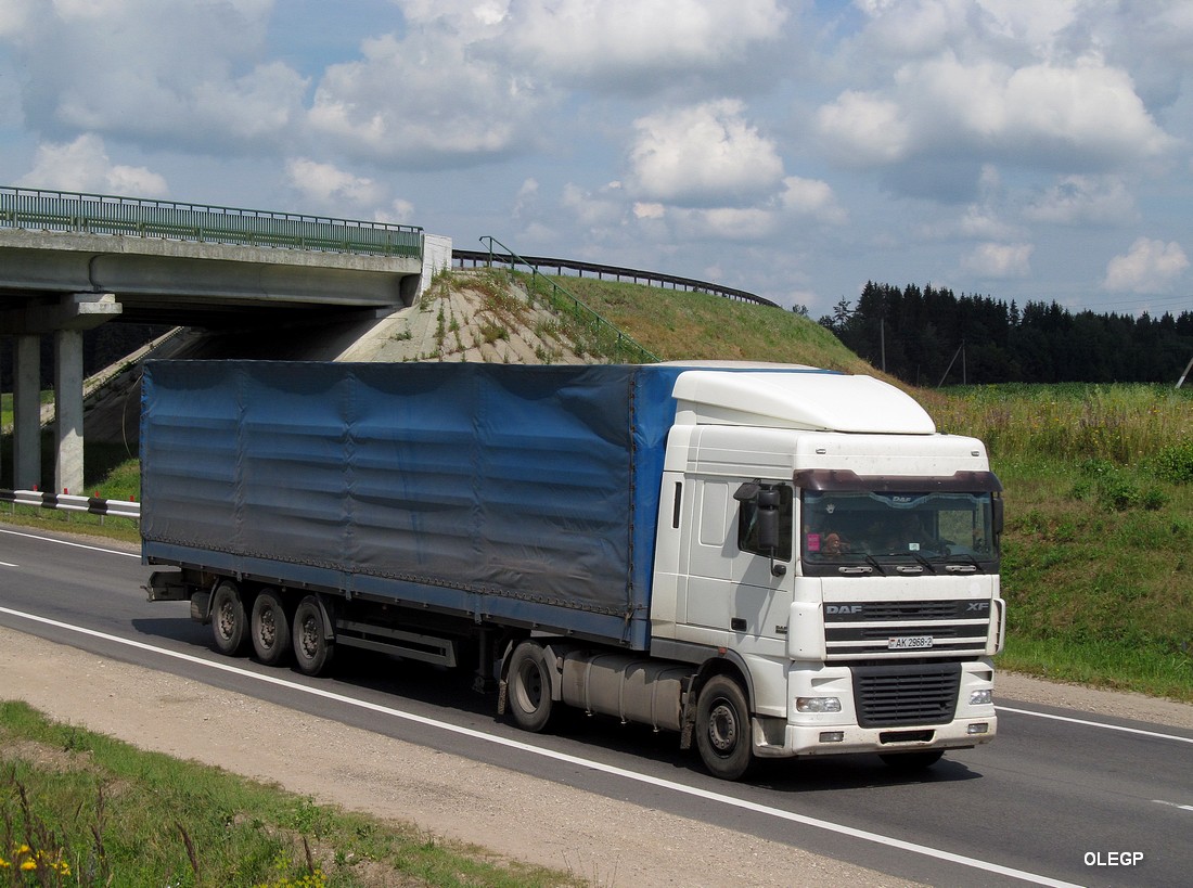 Витебская область, № АК 2968-2 — DAF XF95 FT